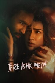 Tere Ishk Mein (2025) Hindi PRE-HD 480p, 720p & 1080p | GDRive